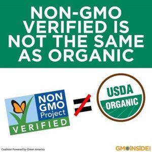 14907_701271139920348_4028792684706633154_n