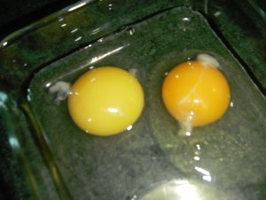 10550068_1004456712903302_4325958746513253681_o