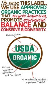 11866369_1600544316878789_5152969245825432514_n