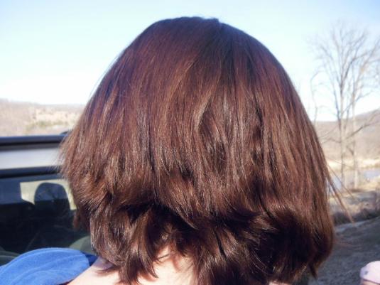 11073493_10153212966214297_8894634922215548161_n