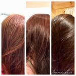 69628961_10162085363910004_1439441762220244992_n