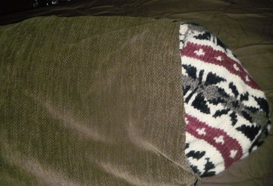 17349823_10155166582464297_261145655267872879_o