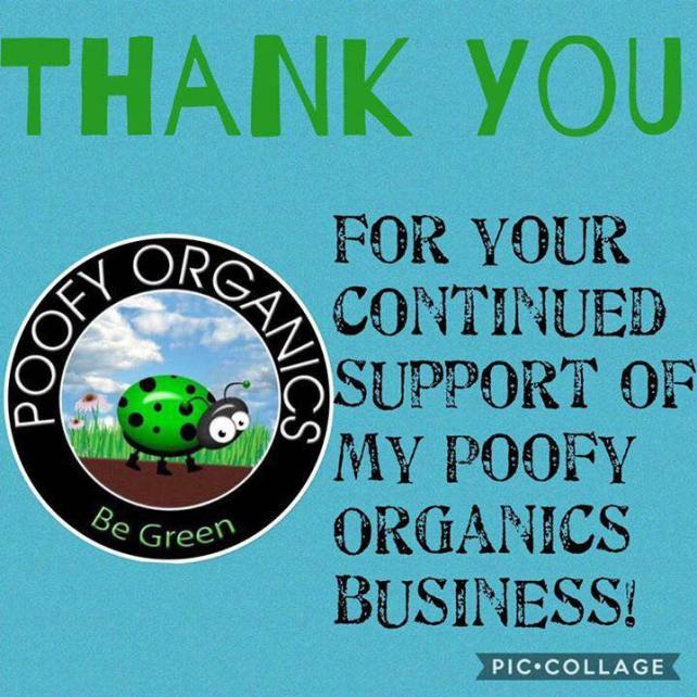 31163530_10157471287749768_8215826301815095296_n