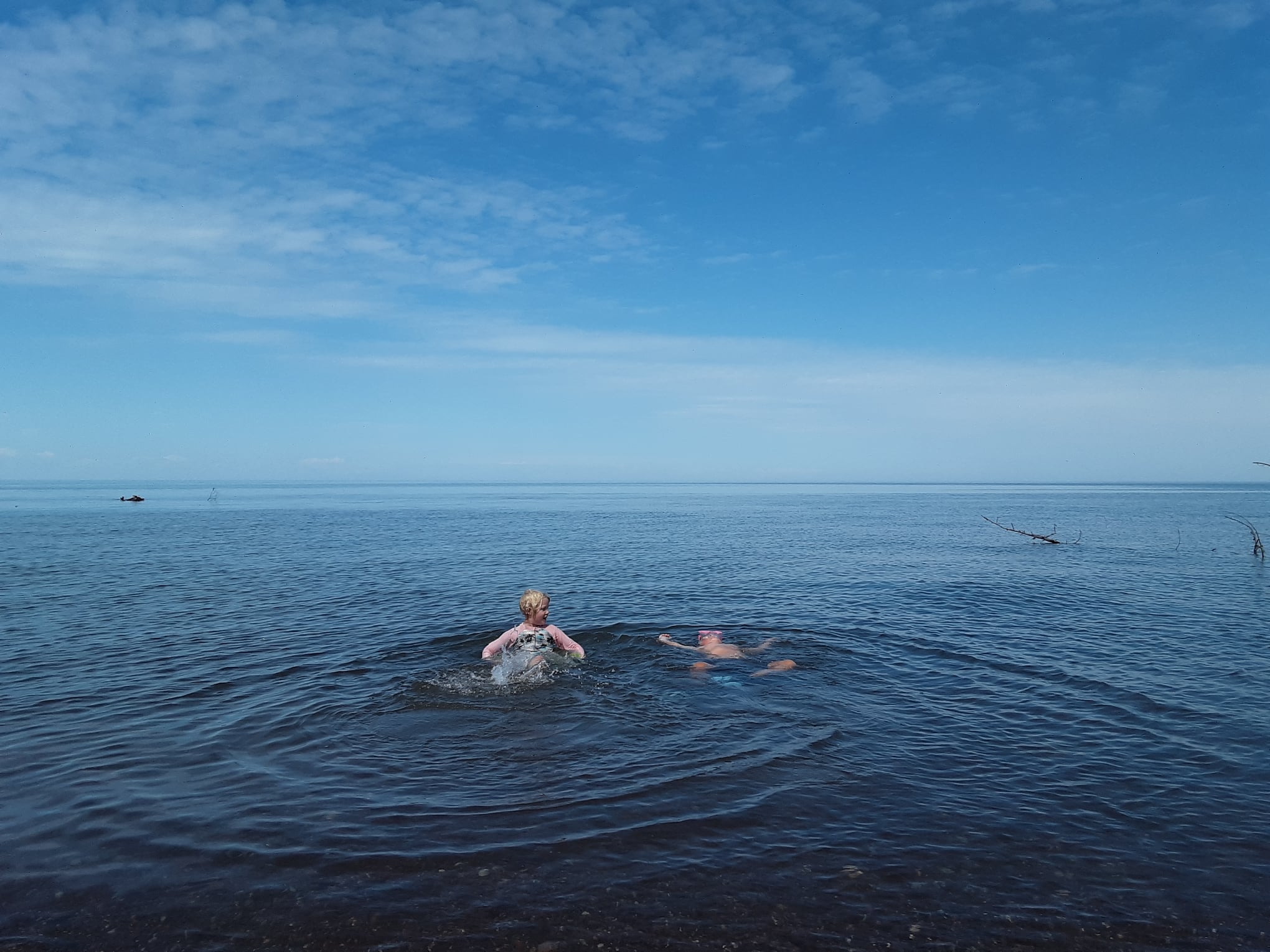 117769663_10158541135659297_3953498880780276649_o