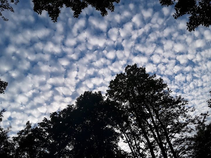 118232576_10158550420479297_4710658364176516028_o